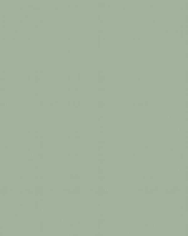 Agave SM cabinet door finish