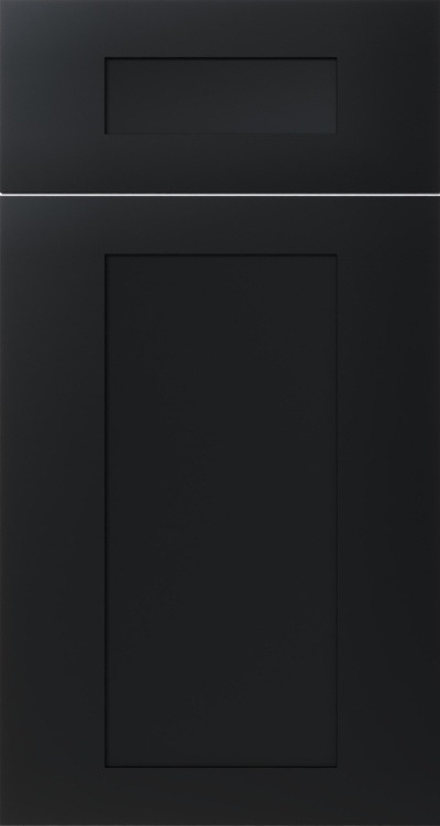 Shaker Black cabinet door