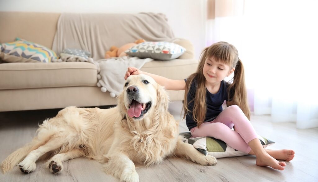 Pet Friendly and Kid Proof Certification